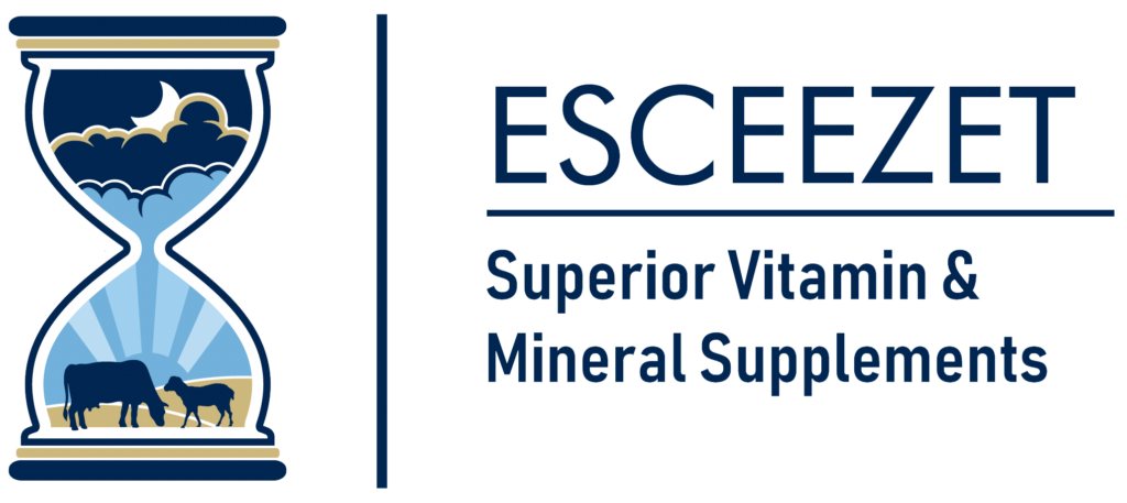 Esceezet Logo